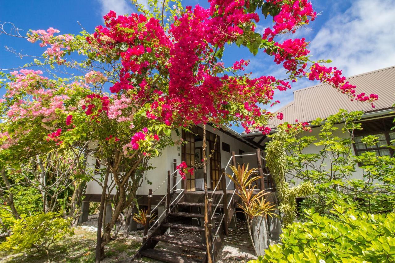 Le Coconut Lodge Avatoru Eksteriør billede