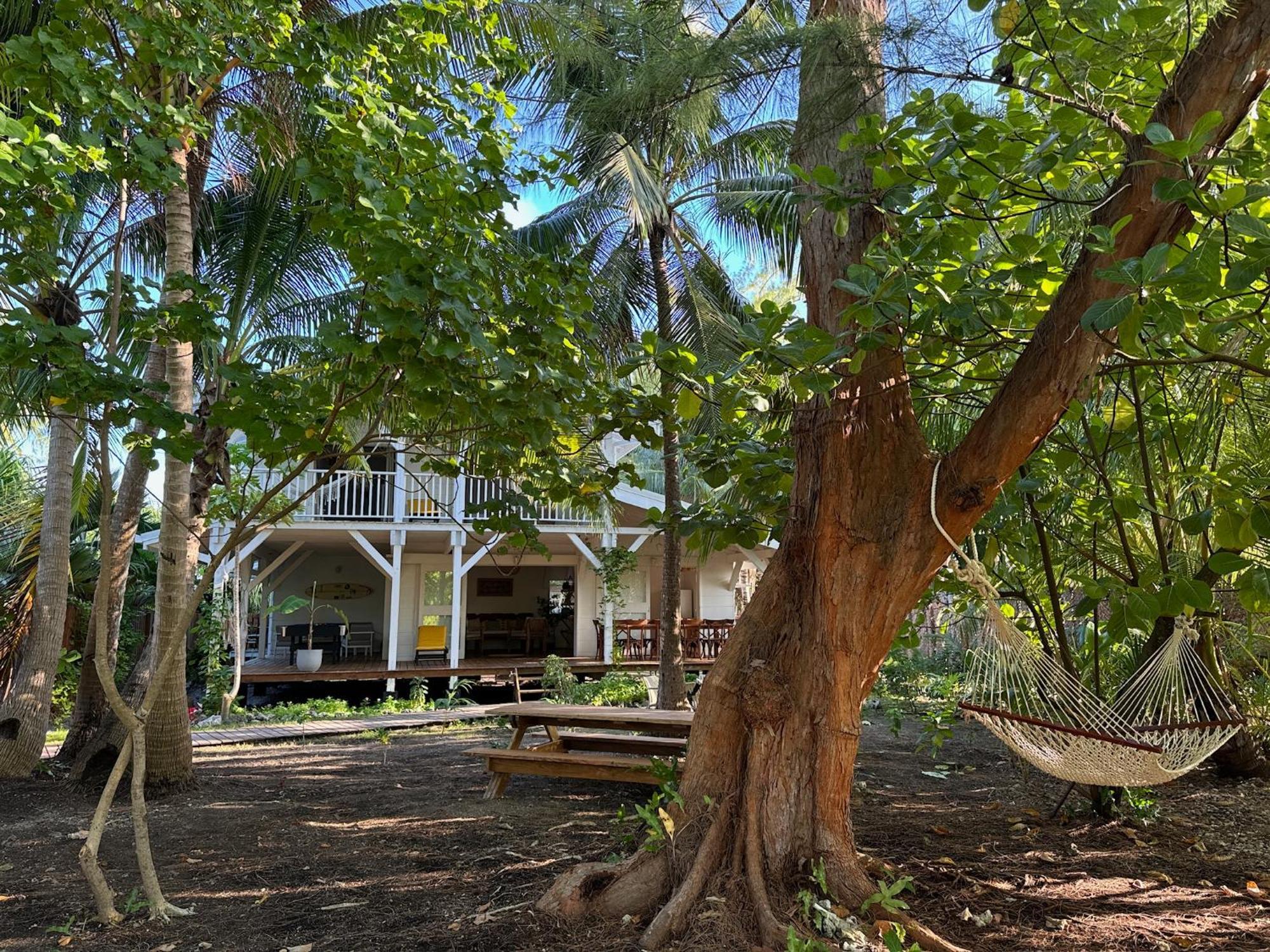 Le Coconut Lodge Avatoru Eksteriør billede