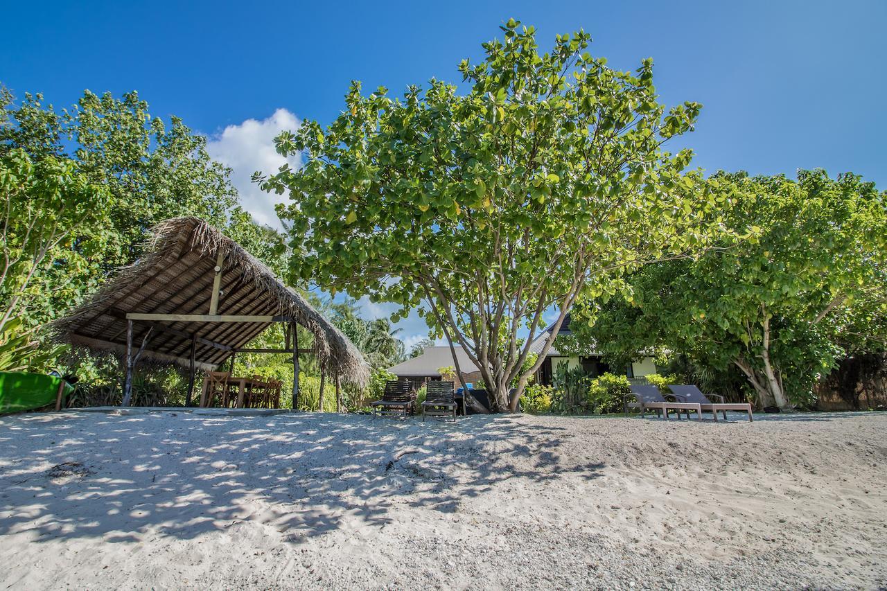 Le Coconut Lodge Avatoru Eksteriør billede