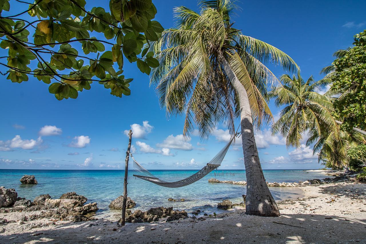 Le Coconut Lodge Avatoru Eksteriør billede
